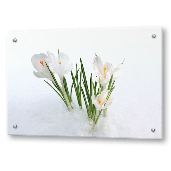 Кухонный экран из стекла Крокусы 900х600х4мм горизонтальный