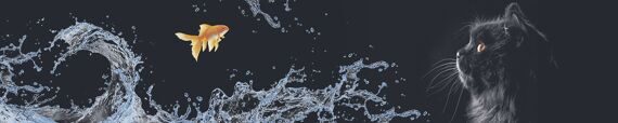 Золотая рыбка Полимерное стекло Золотая рыбка Полимерное стекло