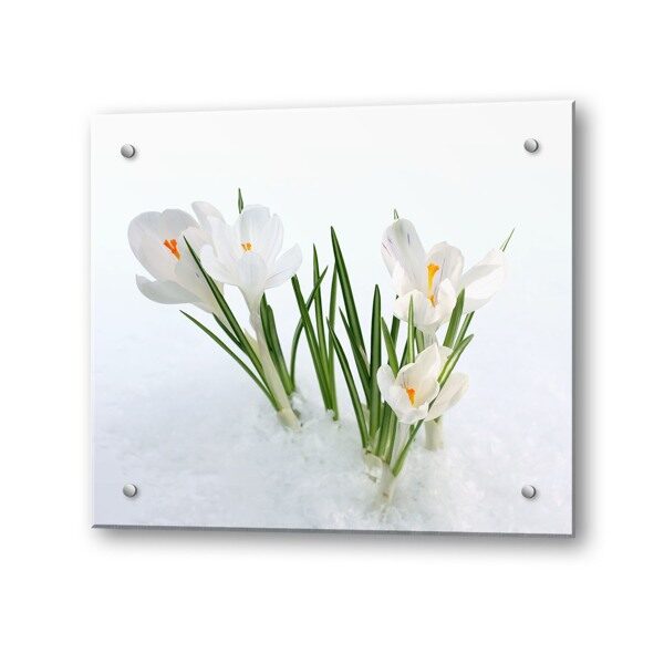 Кухонный экран из стекла Крокусы 600х550х4мм